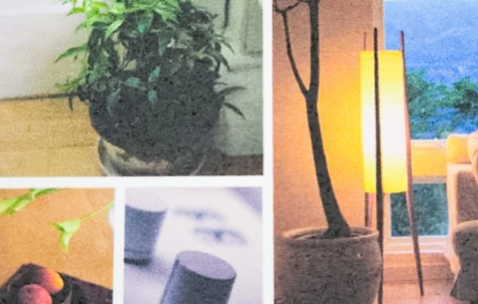 植物などの印刷イメージ写真